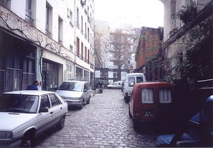 ニューヨーク・コミュニティガーデン視察一式