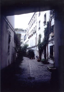 ニューヨーク・コミュニティガーデン視察一式