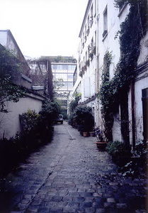 ニューヨーク・コミュニティガーデン視察一式