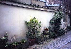 ニューヨーク・コミュニティガーデン視察一式