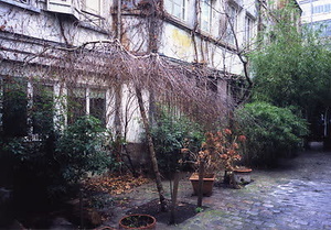 ニューヨーク・コミュニティガーデン視察一式