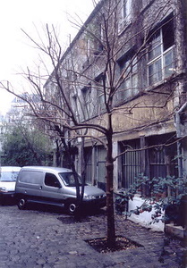 ニューヨーク・コミュニティガーデン視察一式