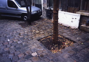 ニューヨーク・コミュニティガーデン視察一式