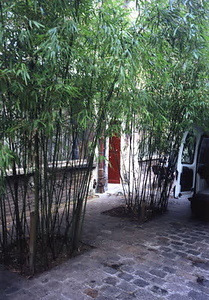 ニューヨーク・コミュニティガーデン視察一式