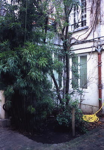 ニューヨーク・コミュニティガーデン視察一式