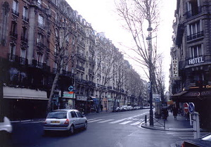 ニューヨーク・コミュニティガーデン視察一式