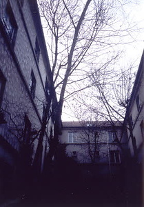 ニューヨーク・コミュニティガーデン視察一式