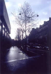 ニューヨーク・コミュニティガーデン視察一式