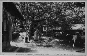 六甲山を中心とした兵庫県内の古い絵葉書等