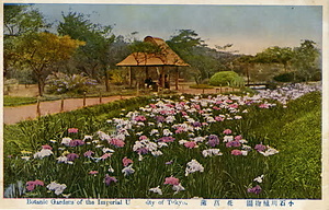 六甲山を中心とした兵庫県内の古い絵葉書等