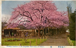 六甲山を中心とした兵庫県内の古い絵葉書等