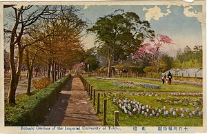 六甲山を中心とした兵庫県内の古い絵葉書等