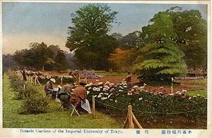 六甲山を中心とした兵庫県内の古い絵葉書等