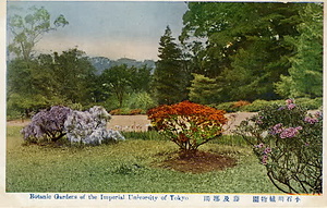 六甲山を中心とした兵庫県内の古い絵葉書等