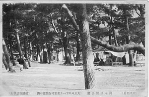 六甲山を中心とした兵庫県内の古い絵葉書等