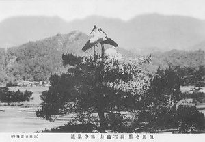 六甲山を中心とした兵庫県内の古い絵葉書等