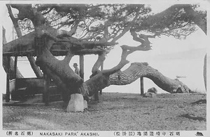 六甲山を中心とした兵庫県内の古い絵葉書等