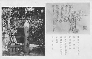 六甲山を中心とした兵庫県内の古い絵葉書等