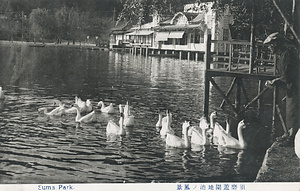 六甲山を中心とした兵庫県内の古い絵葉書等