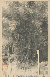 六甲山を中心とした兵庫県内の古い絵葉書等