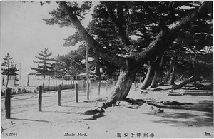 六甲山を中心とした兵庫県内の古い絵葉書等