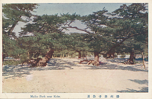 六甲山を中心とした兵庫県内の古い絵葉書等