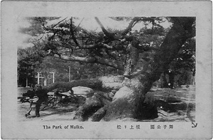 六甲山を中心とした兵庫県内の古い絵葉書等