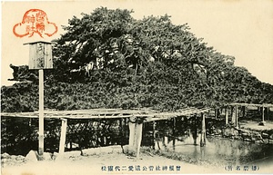 六甲山を中心とした兵庫県内の古い絵葉書等