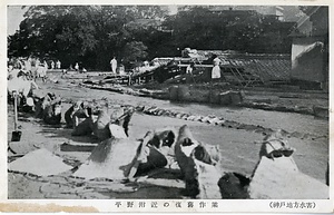 六甲山を中心とした兵庫県内の古い絵葉書等