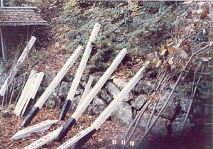 金山公園整備事業大山小学校