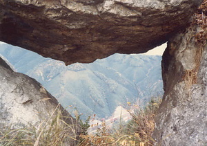 金山公園整備事業大山小学校