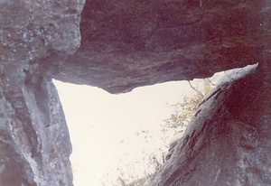 金山公園整備事業大山小学校