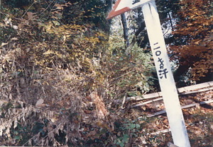 金山公園整備事業大山小学校