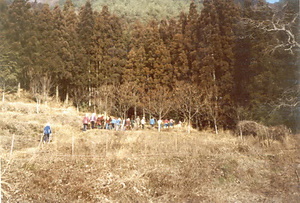 金山公園整備事業大山小学校