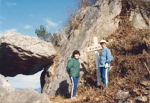 金山公園整備事業大山小学校