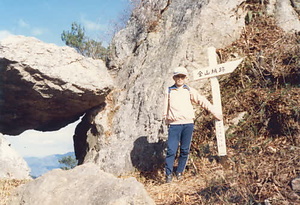 金山公園整備事業大山小学校