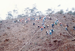 金山公園整備事業大山小学校