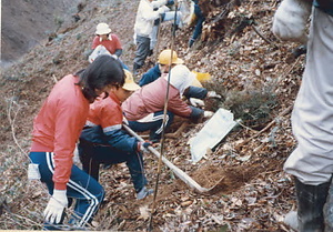 金山公園整備事業大山小学校