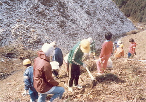 金山公園整備事業大山小学校