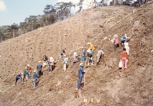 金山公園整備事業大山小学校