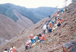 金山公園整備事業大山小学校