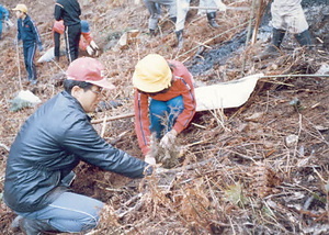 金山公園整備事業大山小学校