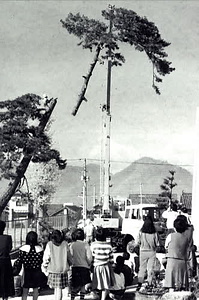 柏原古写真