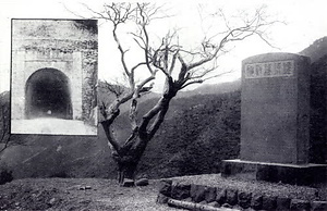 柏原古写真