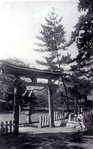 柏原古写真