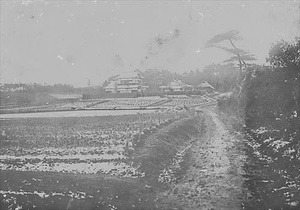 三田市下相野（平野集落）古写真