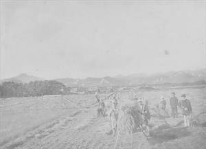 三田市下相野（平野集落）古写真