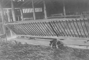 三田市下相野（平野集落）古写真