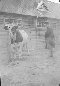 三田市下相野（平野集落）古写真