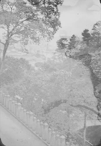 三田市下相野（平野集落）古写真